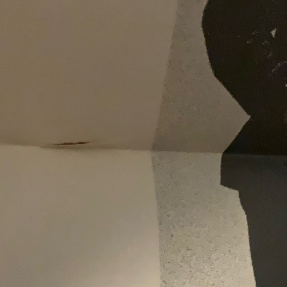 Santana Abraxas Record - Picture 9 of 12